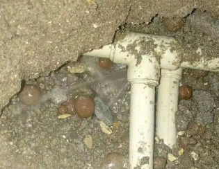 贡山卫生间测漏