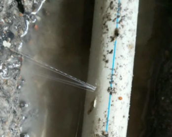 贡山卫生间测漏水多少钱