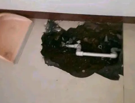 贡山卫生间测漏水多少钱